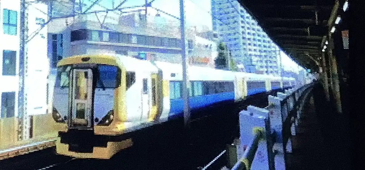 IMG_1036.jpeg IMG_1036.jpeg