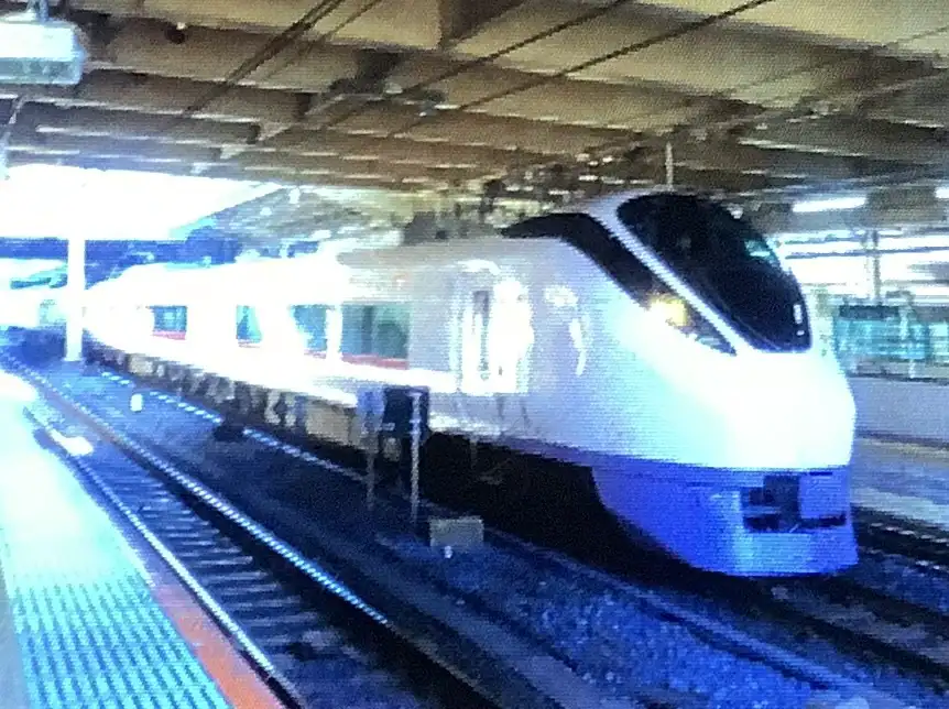 IMG_1038.jpeg IMG_1038.jpeg