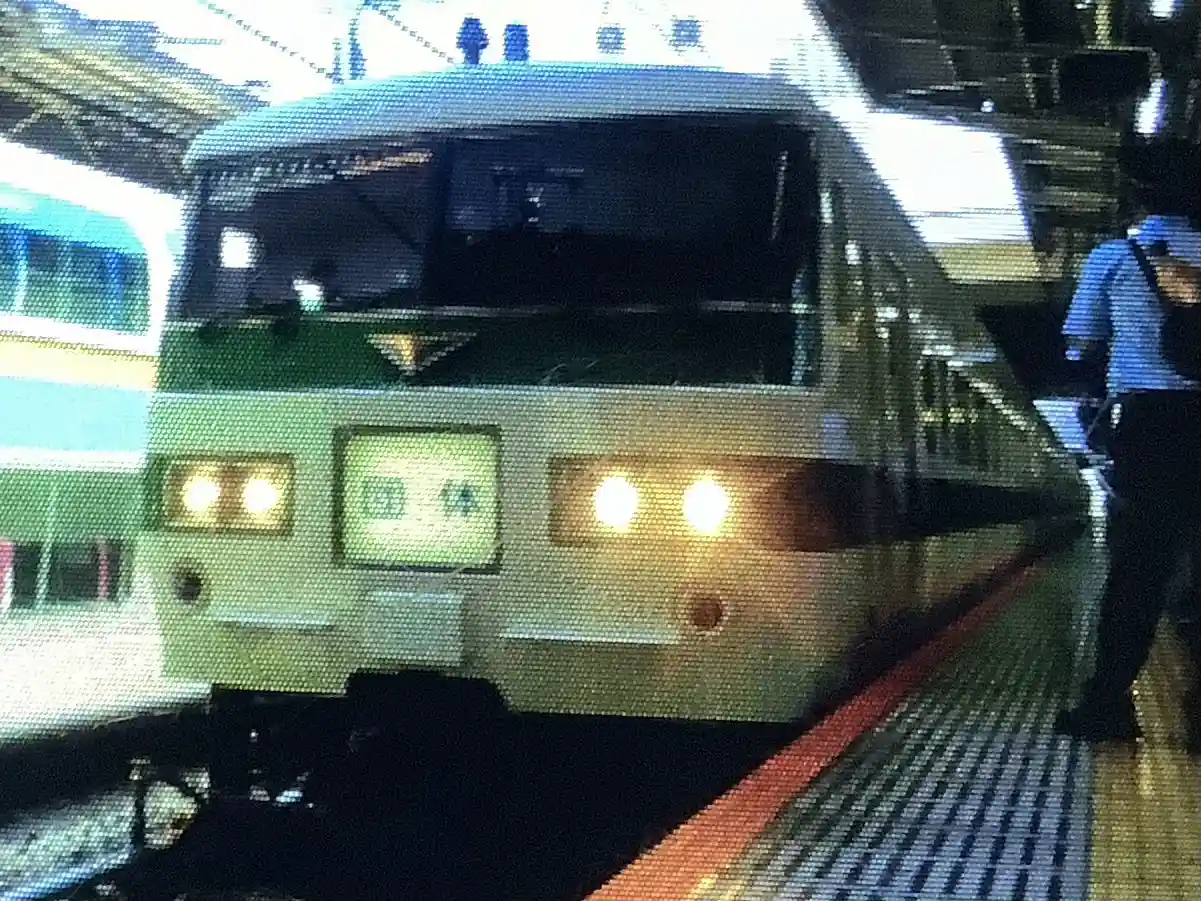 IMG_1043.jpeg IMG_1043.jpeg