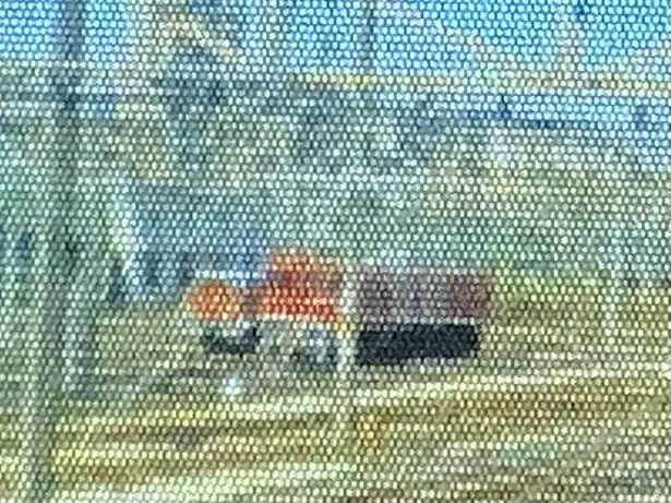 IMG_1048.jpeg IMG_1048.jpeg