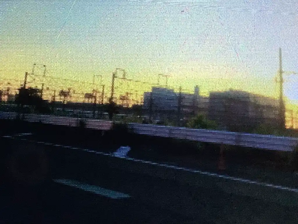 IMG_2213.jpeg IMG_2213.jpeg