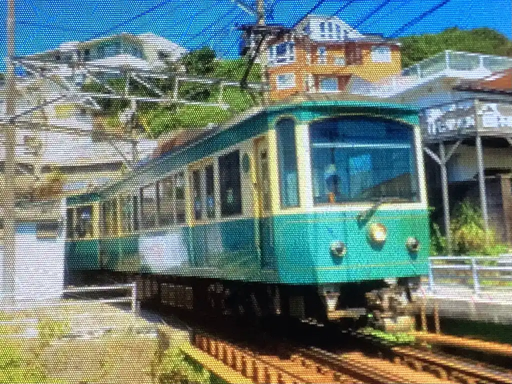 IMG_2223.jpeg IMG_2223.jpeg