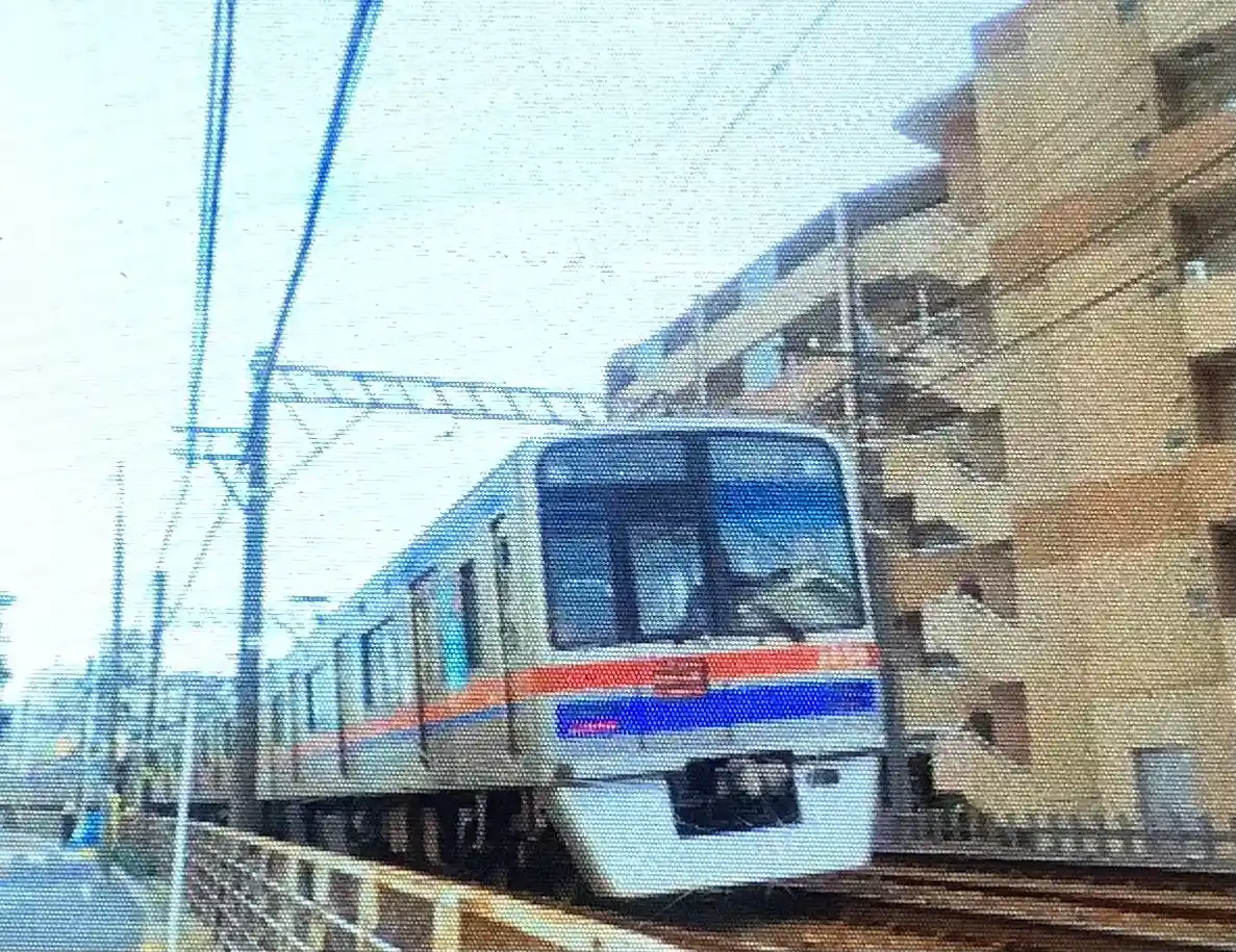 IMG_2783.jpeg IMG_2783.jpeg