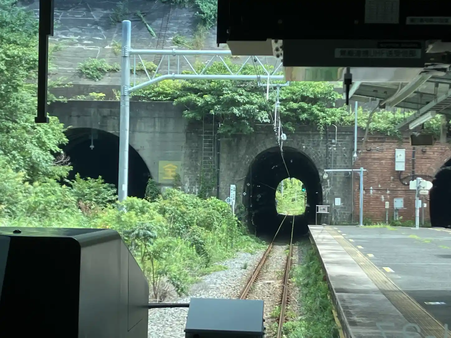 IMG_2452.jpeg IMG_2452.jpeg