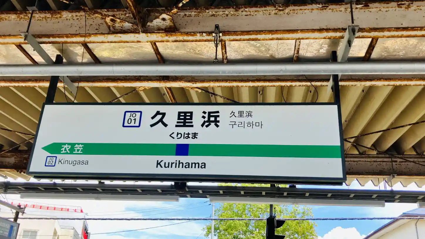 IMG_2453.jpeg IMG_2453.jpeg