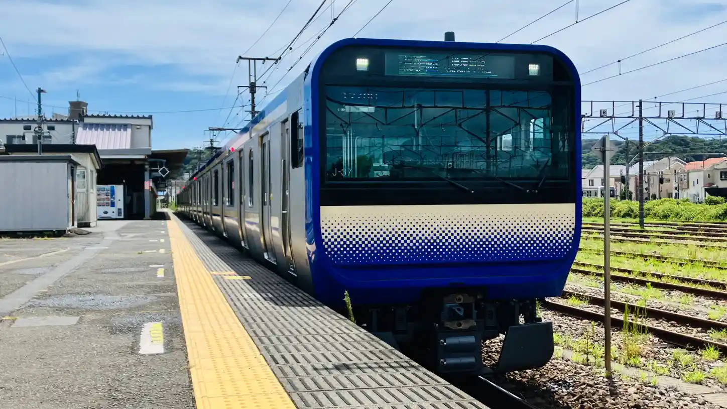 IMG_2454.jpeg IMG_2454.jpeg