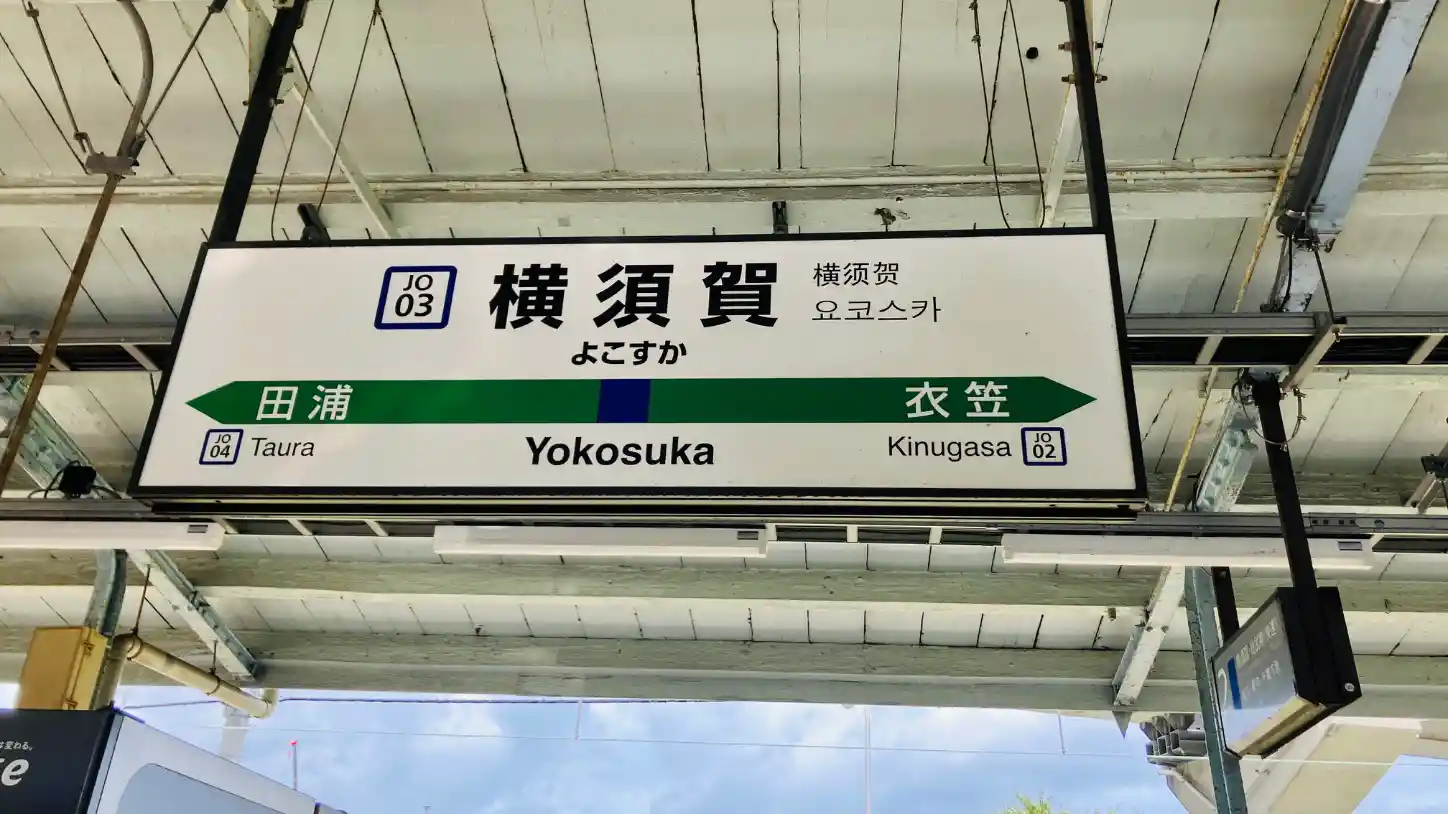 IMG_2455.jpeg IMG_2455.jpeg