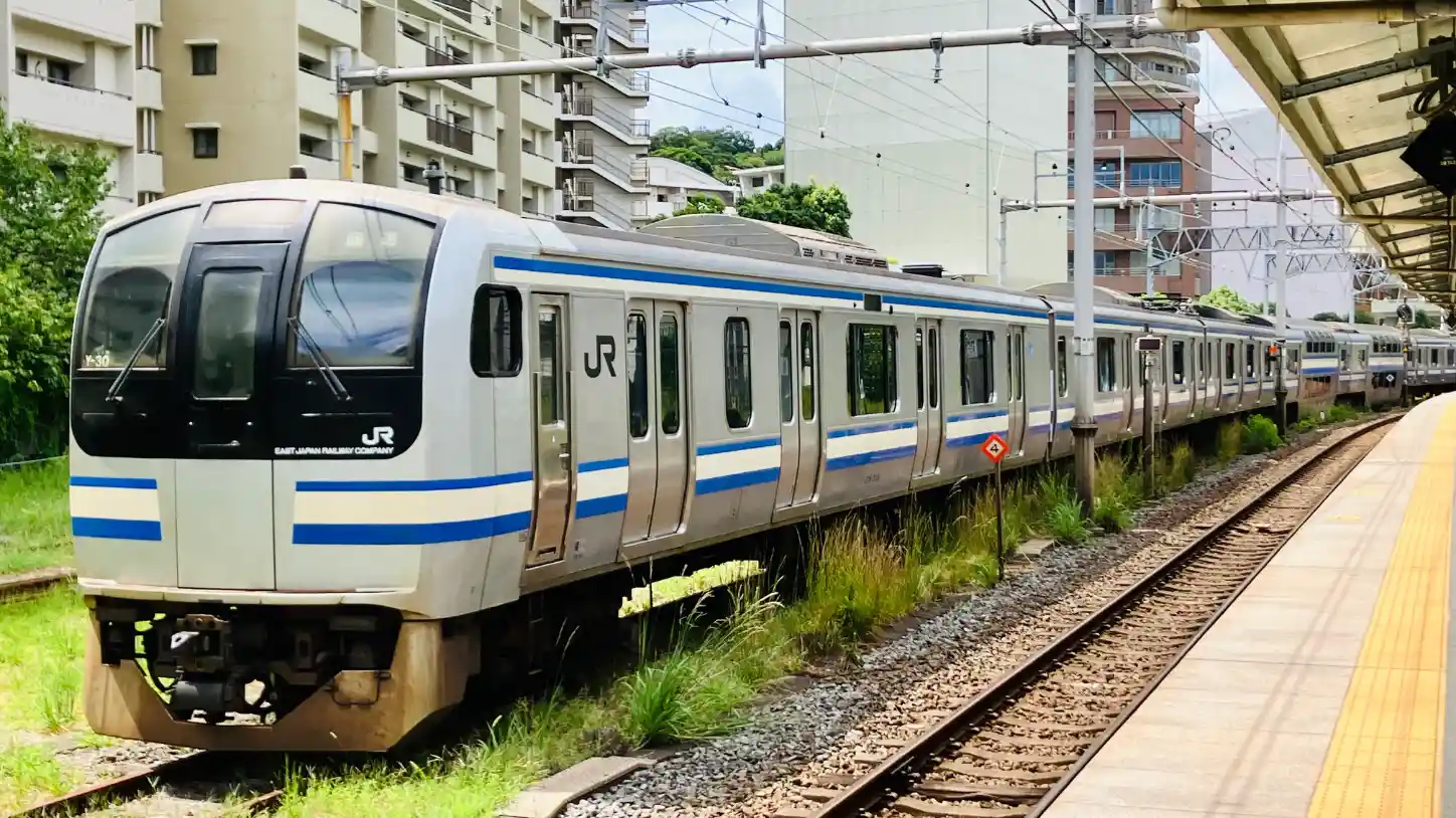 IMG_2456.jpeg IMG_2456.jpeg