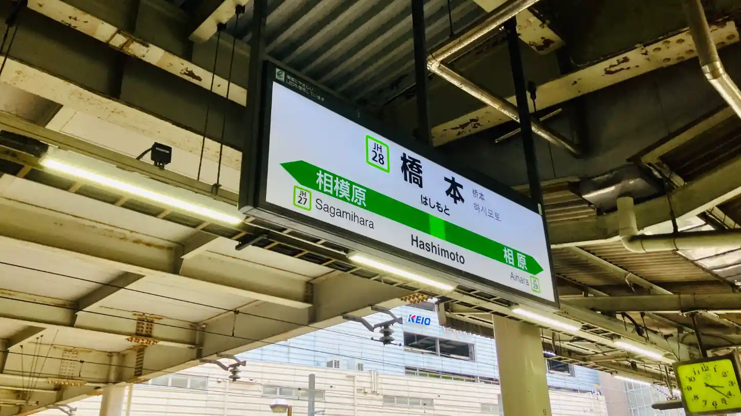 IMG_2481.jpeg IMG_2481.jpeg