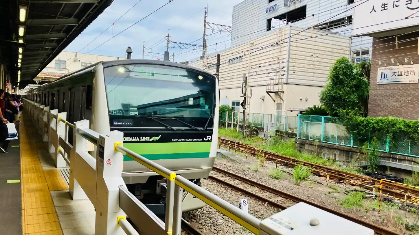 IMG_2482.jpeg IMG_2482.jpeg