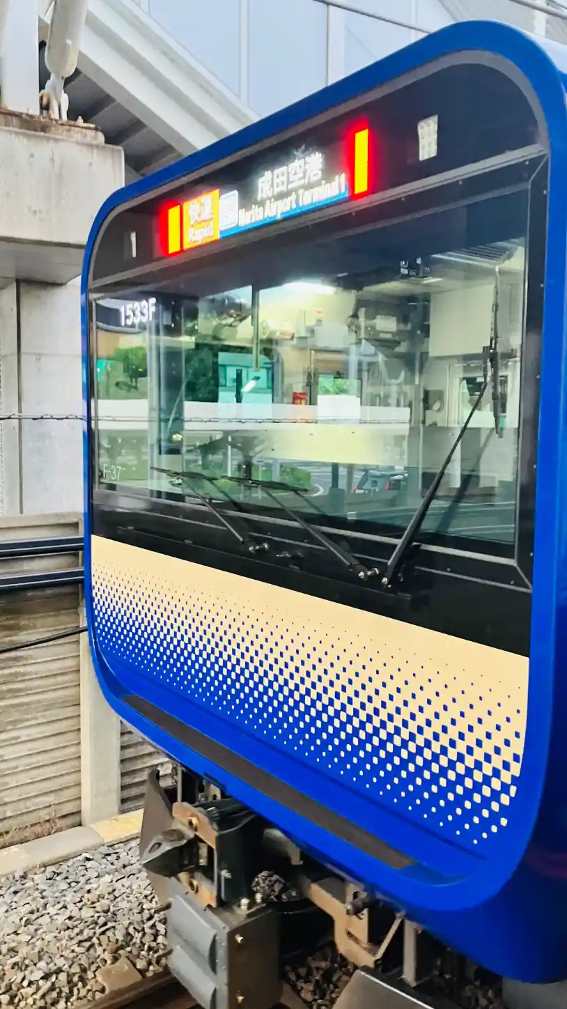 IMG_2494.jpeg IMG_2494.jpeg