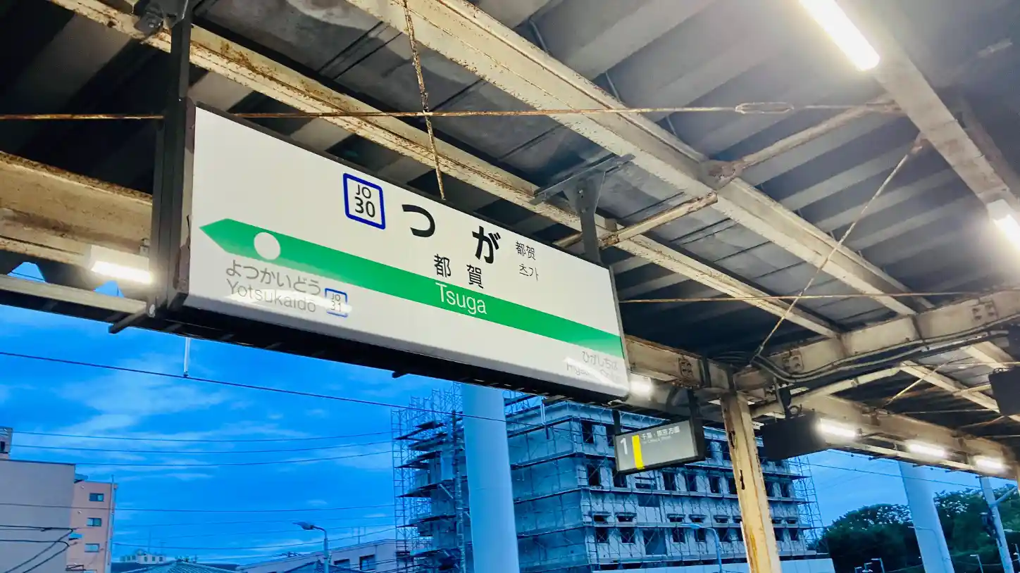 IMG_2496.jpeg IMG_2496.jpeg