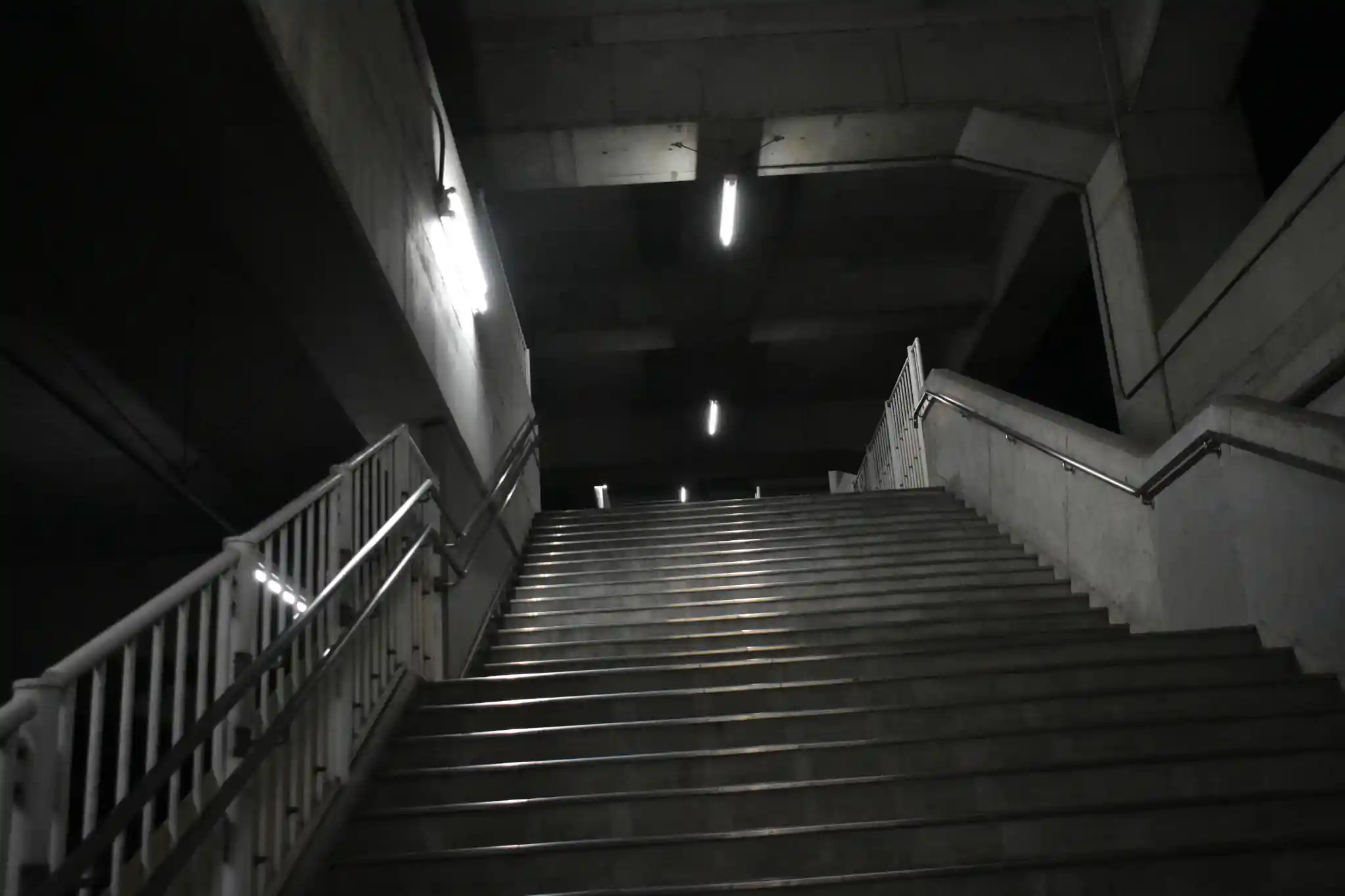 DSC_5302.JPG DSC_5302.JPG