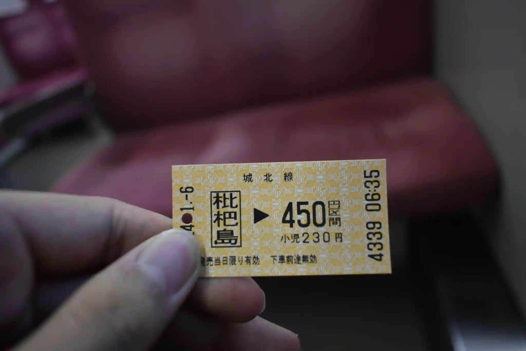 DSC_5316.JPG DSC_5316.JPG