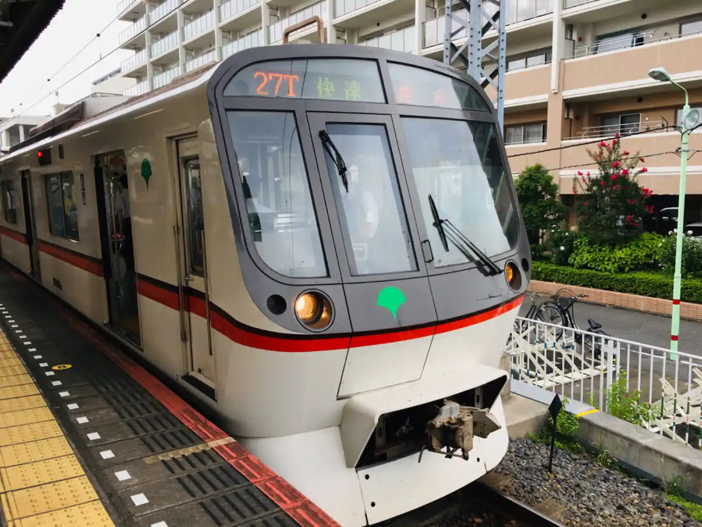 IMG_6912_Original.jpeg IMG_6912_Original.jpeg