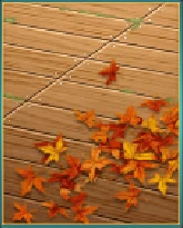 秋の床板.png