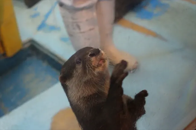 IMG_0039_R.JPG IMG_0039_R.JPG