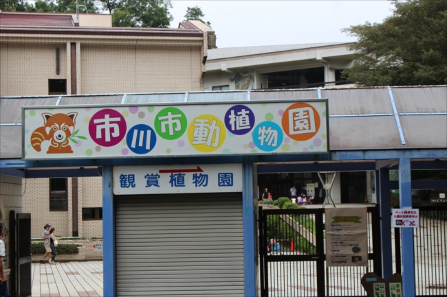 市川市動植物園 日本動物園 水族館カワウソ Wiki