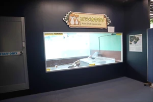 IMG_0010_R_R.jpg IMG_0010_R_R.jpg