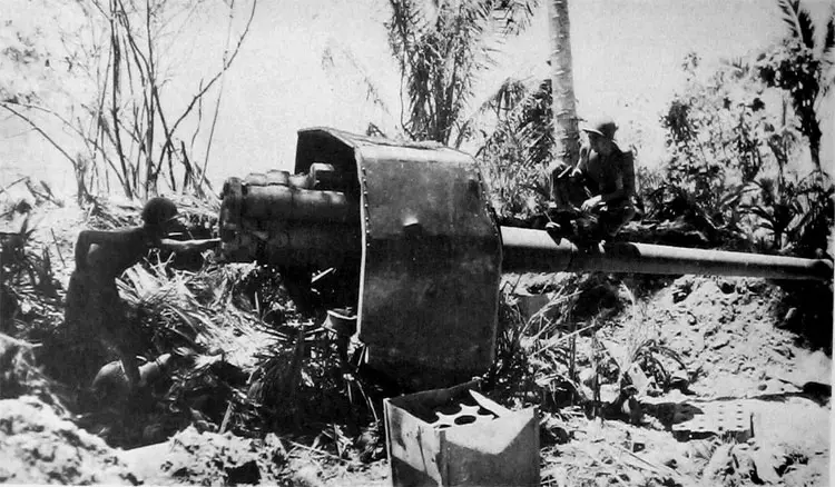 写真はフィリピン/ネグロス島で陸上砲として転用されたもの