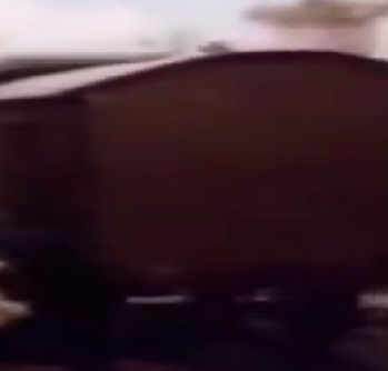 TV版第2シーズンのロンドン・ブライトン・アンド・サウス・コースト鉄道の有蓋貨車6