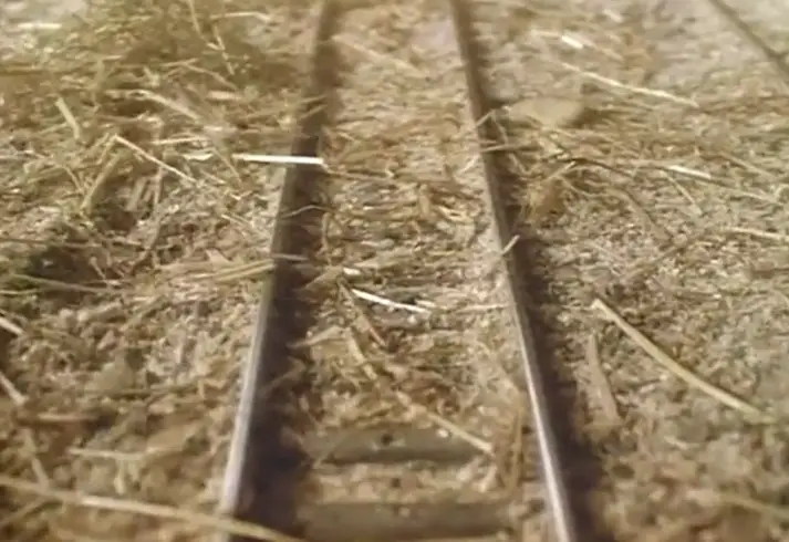 TV版第2シーズンで強風に見舞われた干し草農場