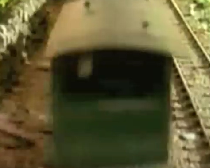 TV版第5シーズンの灰色のイギリス国鉄の20トンブレーキ車8