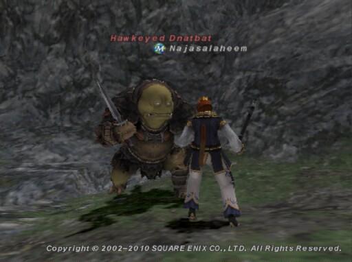 オークNM.jpg オークNM.jpg