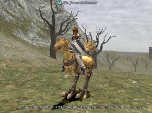 ナジャ4.jpg ナジャ4.jpg