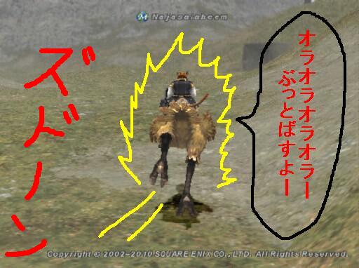 ナジャ5.jpg ナジャ5.jpg