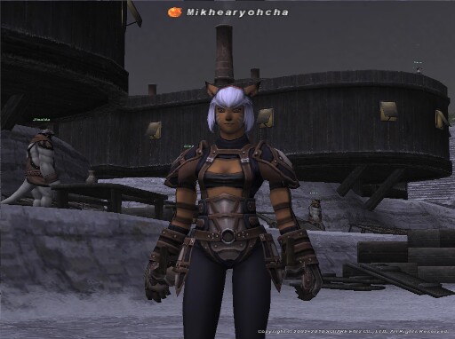 ミケ1.jpg ミケ1.jpg