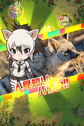 アードウルフ けものフレンズfestival けもフェス 攻略 Wiki