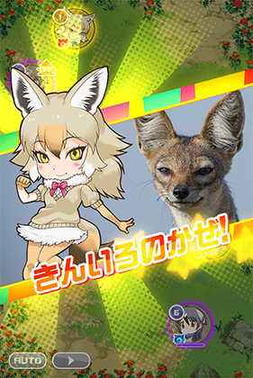 アフリカンゴールデンウルフ けものフレンズfestival けもフェス 攻略 Wiki