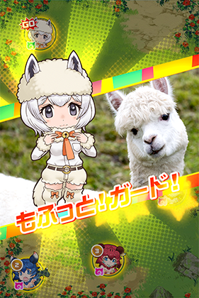 アルパカ ワカイヤ けものフレンズfestival けもフェス 攻略 Wiki アルパカ ワカイヤ けものフレンズfestival けもフェス 攻略 Wiki