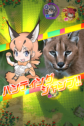 画像置き場 汎用 けものフレンズfestival けもフェス 攻略 Wiki