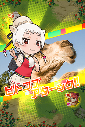 ヒトコブラクダ けものフレンズfestival けもフェス 攻略 Wiki ヒトコブラクダ けものフレンズfestival けもフェス 攻略 Wiki