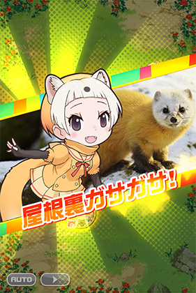 ホンドテン けものフレンズfestival けもフェス 攻略 Wiki