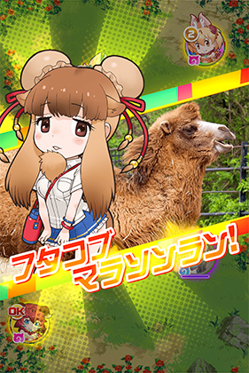 フタコブラクダ けものフレンズfestival けもフェス 攻略 Wiki フタコブラクダ けものフレンズfestival けもフェス 攻略 Wiki