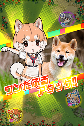 イエイヌ けものフレンズfestival けもフェス 攻略 Wiki