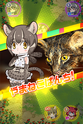 画像置き場 汎用 けものフレンズfestival けもフェス 攻略 Wiki