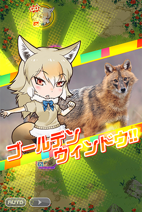 キンイロジャッカル けものフレンズfestival けもフェス 攻略 Wiki