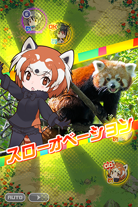 レッサーパンダ けものフレンズfestival けもフェス 攻略 Wiki