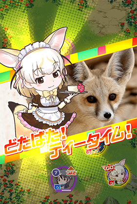 メイド フェネック けものフレンズfestival けもフェス 攻略 Wiki