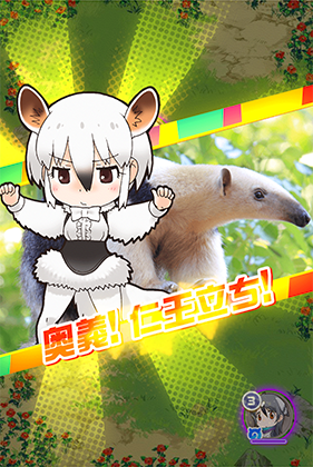 ミナミコアリクイ けものフレンズfestival けもフェス 攻略 Wiki ミナミコアリクイ けものフレンズfestival けもフェス 攻略 Wiki