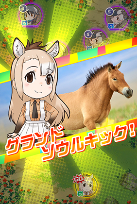 画像置き場 汎用 けものフレンズfestival けもフェス 攻略 Wiki