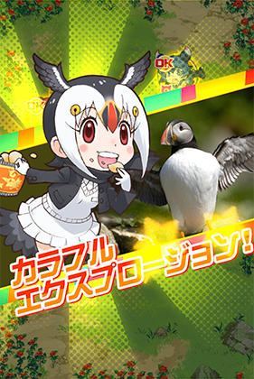 パフィン けものフレンズfestival けもフェス 攻略 Wiki