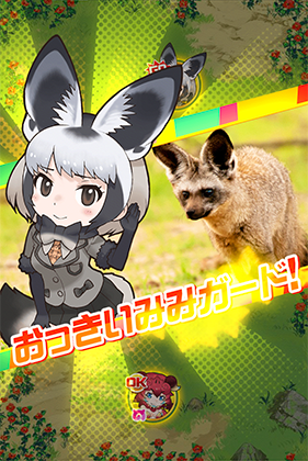 オオミミギツネ けものフレンズfestival けもフェス 攻略 Wiki