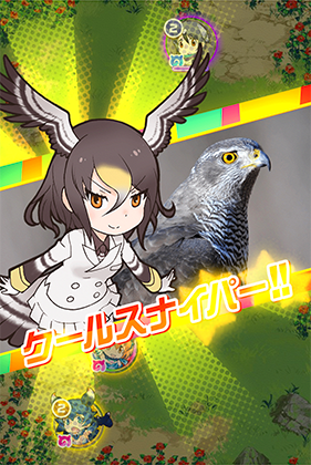 オオタカ けものフレンズfestival けもフェス 攻略 Wiki