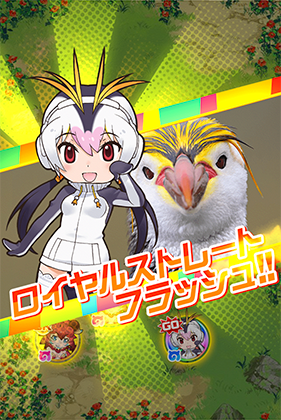 ロイヤルペンギン けものフレンズfestival けもフェス 攻略 Wiki ロイヤルペンギン けものフレンズfestival けもフェス 攻略 Wiki