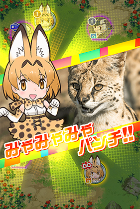 サーバル けものフレンズfestival けもフェス 攻略 Wiki